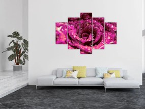 Tabloul cu floarea trandafirului roz (150x105 cm)