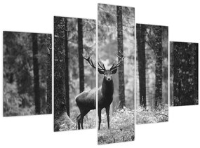 Tablou - Căprioare in pădure 2,alb-negru (150x105 cm)