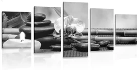 Tablou 5-piese natura moartă Feng Shui în design alb-negru
