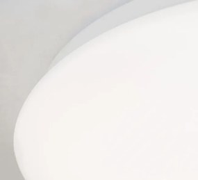Aplica LED perete sau tavan diametru 23cm, Nedo