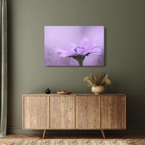 Tablou - Flori mov (90x60 cm)