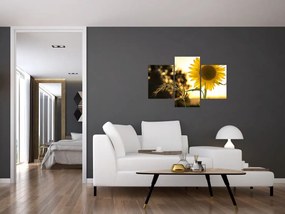 Tablou cu floarea soarelui (90x60 cm)
