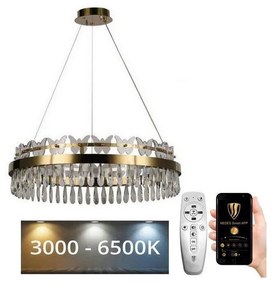 Lustră LED dimabilă pe cablu LED/80W/230V 3000-6500K auriu + telecomandă