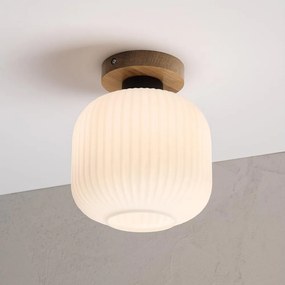 Plafonieră HARMA WOOD 1xE27/15W/230V stejar/alb Ø 20 cm