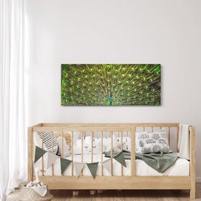 Tablou - Peacock (120x50 cm)