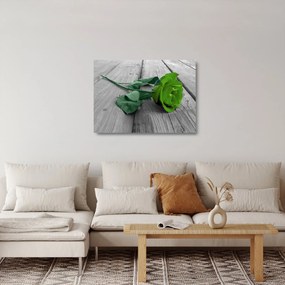 Tablou pe sticlă - Trandafir verde (70x50 cm)