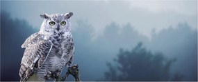 Tablou - Bufniță de zăpadă (120x50 cm)