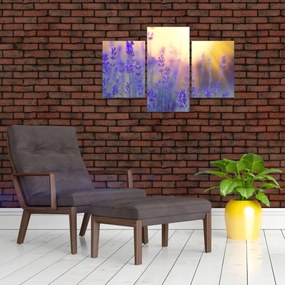 Tablou - Levănțică (90x60 cm)