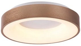 Rabalux 5053 - Plafonieră LED CARMELA LED/50W/230V