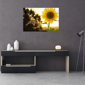 Tablou cu floarea soarelui (90x60 cm)