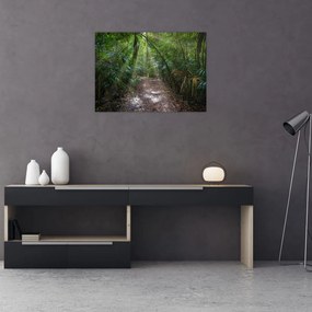Tablou pe sticlă - Razele solare în junglă (70x50 cm)