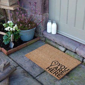 Covoraș de intrare din fibre de nucă de cocos 40x60 cm You Are Here – Artsy Doormats