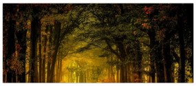Tablou cu pădure (120x50 cm)