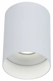 Spot aplicat de tavan/plafon Alfa MYC014CL-01W
