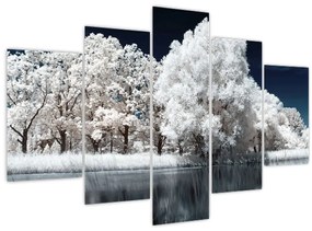 Tablou - Albă ca Zăpada Albă ca Zăpada Copaci (150x105 cm)