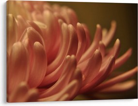 Tablou cu detailu florii (70x50 cm)