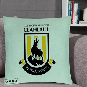 Perna Personalizata CSM Ceahlaul Piatra Neamt Fotbal, 40x40 cm, Verde Menta, Husa Detasabila, Perna Inclusa, BEKZ®