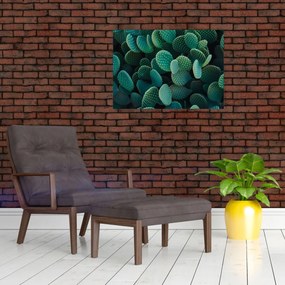Tablou pe sticlă - Opuntia (70x50 cm)