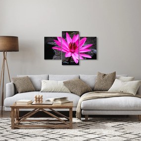 Tablou - floarea roz (90x60 cm)
