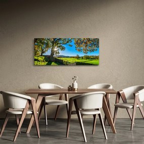 Tablou Privire la câmp (120x50 cm)