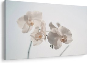 Tablou cu orhidee albă (90x60 cm)
