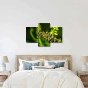 Tablou cu omide (90x60 cm)