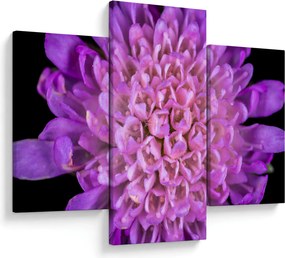 Tablou detailat cu floare (90x60 cm)