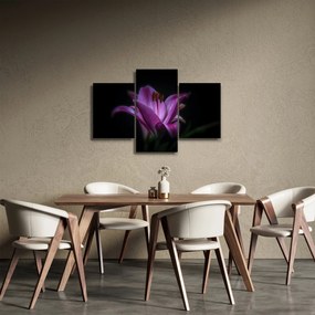 Tablou crinul (90x60 cm)