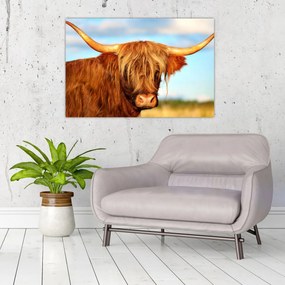 Tablou - Vacă scoțiană (90x60 cm)