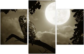 Tablou - Bufniță de noapte, auriu (90x60 cm)
