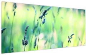 Tablou - Detaliu pajiște (120x50 cm)
