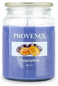 Lumânare în borcan cu capac PRUNE DULCI, 510 g