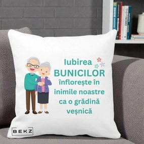 Cadou pentru Bunici - Perna Personalizata Bunicii Iubirea Infloreste Cuplu Senior Teal, 40x40 cm, Alba Mata, Husa Detasabila, Perna Inclusa, BEKZ®
