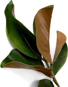 Buchet artificial LUX din 24 fire frunze de Magnolie