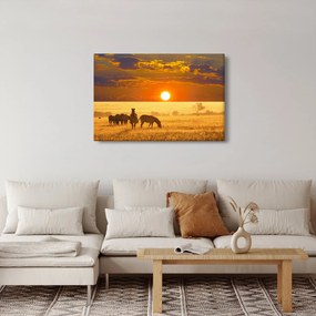 Tablou - Zebre cu apus de soare (90x60 cm)