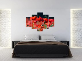 Tablou - flori de maci (150x105 cm)