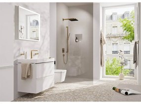 Palarie de dus, Hansgrohe, Pulsify E 260, 1 jet, bronz periat