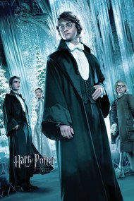 Poster de artă Harry Potter and the Goblet of Fire - Harry