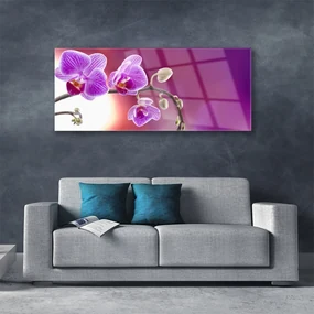 Tablouri acrilice Flori roz Floral