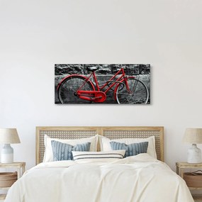 Tablou - Bicicleta istorică (120x50 cm)