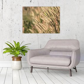 Tablou pe sticlă - Cereale (70x50 cm)