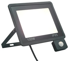 vidaXL Proiector LED cu senzor, 100 W, alb rece