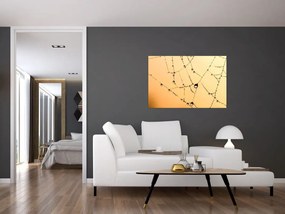 Tablou cu pânză de pâianjen cu rouă (90x60 cm)