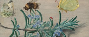 Tablou - Jan van Kessel the Elder, Insects and a Sprig of Rosemary, reproducere (120x50 cm)