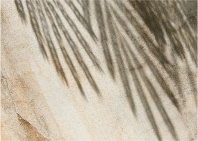 Tablou - Umbre (70x50 cm)