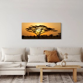 Tablou - Savana africană (120x50 cm)