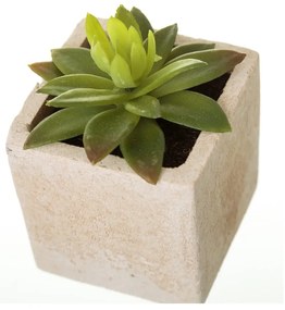Plante artificiale 6 buc. (înălțime 9,5 cm) Cactus – Casa Selección