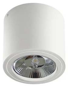 Spot aplicat directionabil de tavan/plafon ALIX alb ZZ AZ3541