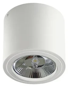 Spot aplicat directionabil de tavan/plafon ALIX alb ZZ AZ3541