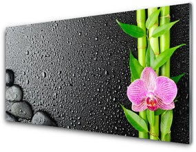 Tablouri acrilice Bamboo Peduncul flori Stones verde florale roz negru